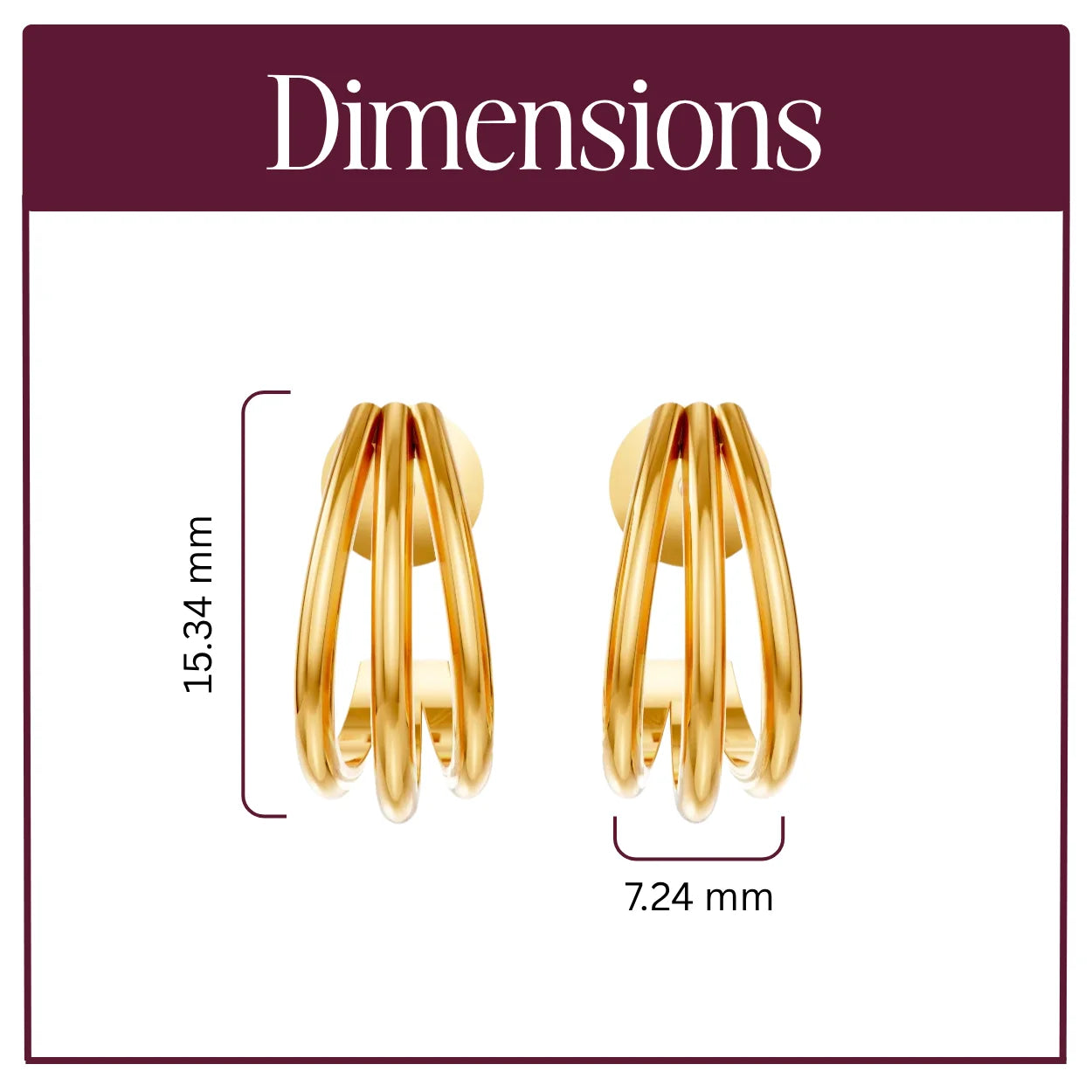 Echo loop Earring